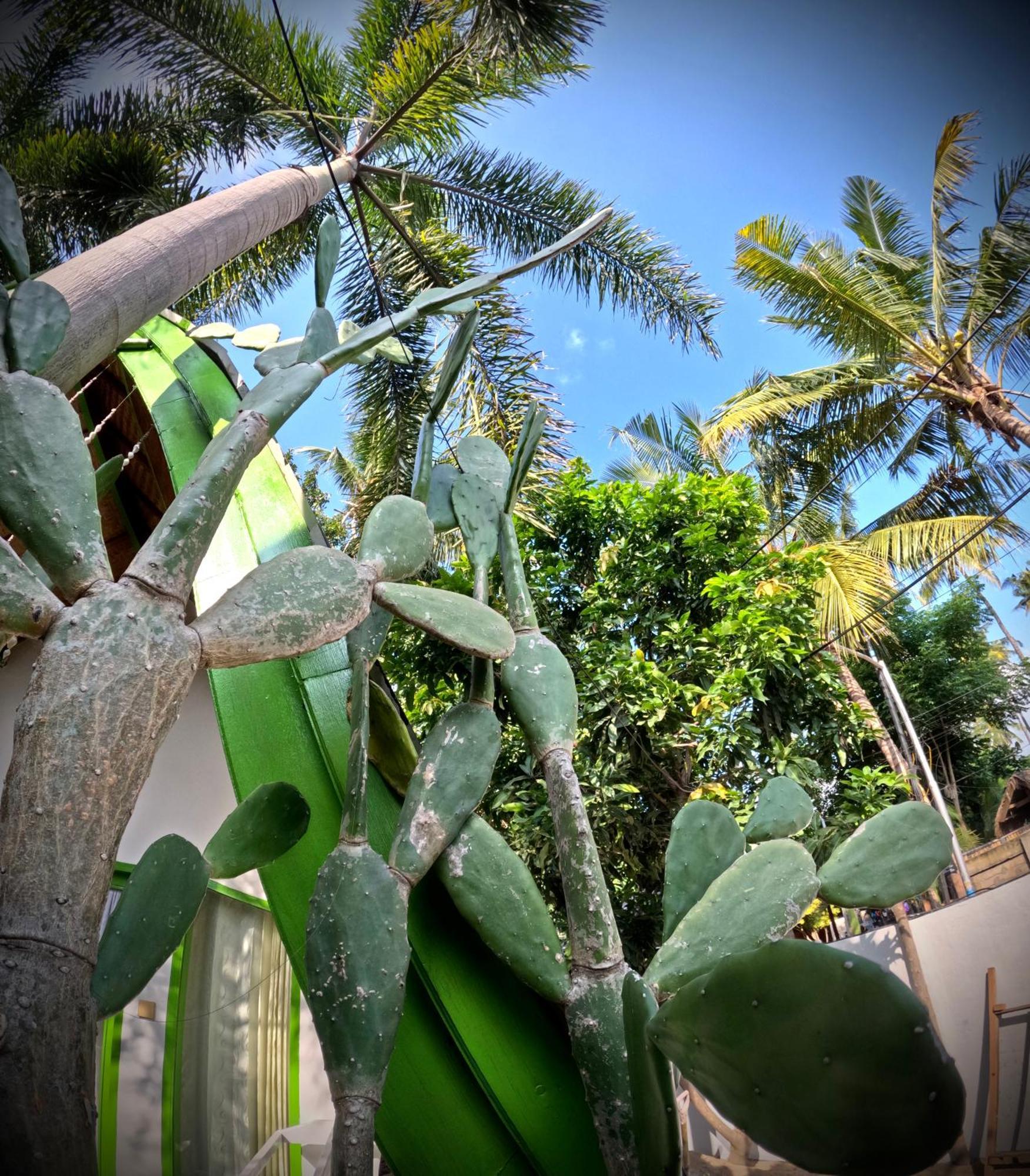 Kaktus Bungalow 2 Gili Air Kültér fotó